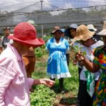 5d9ec181-9344-4cc7-876f-d7368cc36772