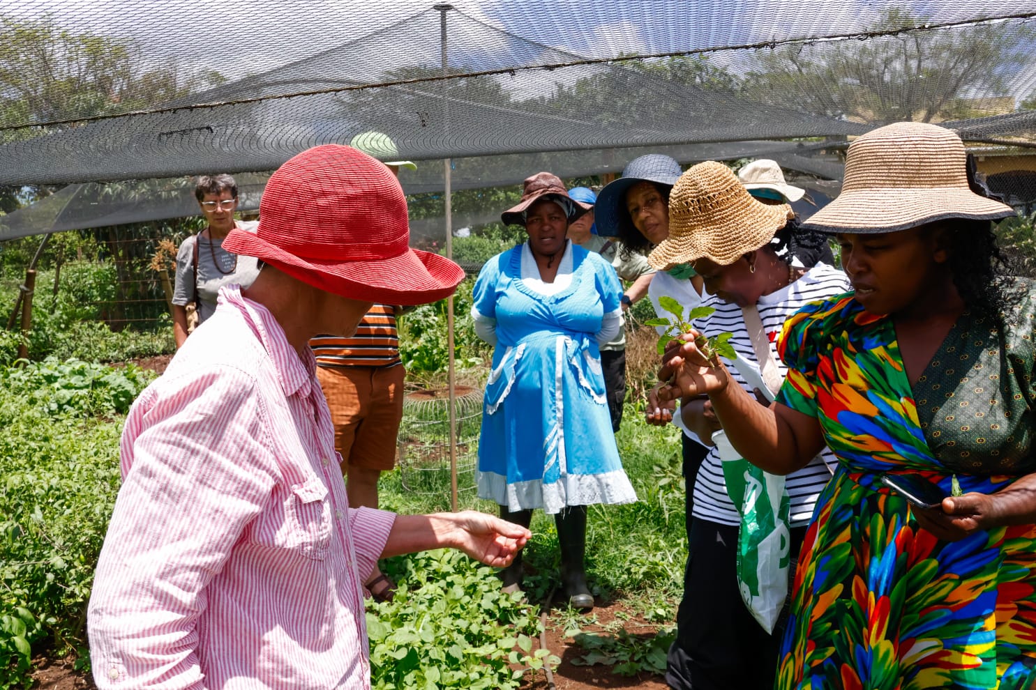 5d9ec181-9344-4cc7-876f-d7368cc36772